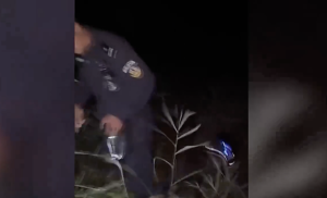 6岁男童走失民警在山里找了一夜 警犬无人机连夜搜山