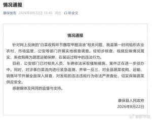 官方通报“甲醛白菜”：紧急追溯流向 涉事人员已被控制
