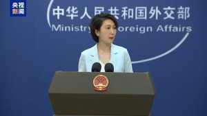 中方愿和金砖国家一道化解争端 推动对话解决热点问题