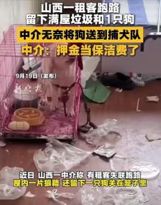 山西太原一租客失联跑路，留下满屋垃圾和一只狗