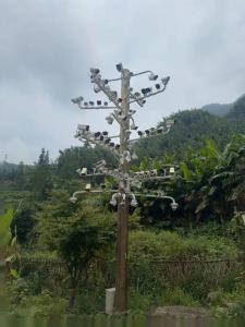 当地回应线杆挂84个监控称仅1个可用 网红打卡点装饰引发热议