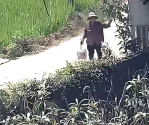 老人突发低血糖晕倒村民主动送医 家属回应