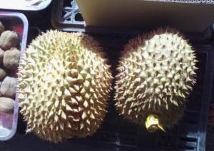 买的榴莲打开里面是橡皮泥 劣质果冒充好果