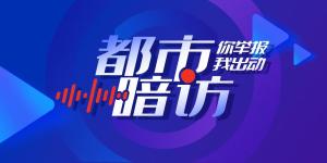 记者暗访放生乱象 生态隐忧背后的监管难题
