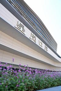 麦玲玲点赞皇岗口岸 新通关模式提升效率