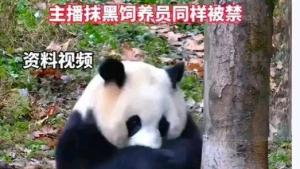 28人终身禁入卧龙大熊猫苑 不文明行为受严惩