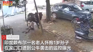 印度一抱娃老人遭公牛猛撞监控曝光：孩子被抛落哭喊，老人顾不上娃赶紧躲避，两女子帮助其回屋