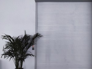 猫的反应速度是卷帘门的100倍