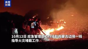 蒙古国草原火灾全线未烧入我国境内 7天6夜成功堵截