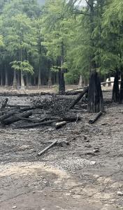 郭敬明剧组疑似火烧树林？当地回应 置景误会已澄清