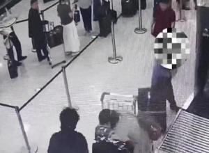 济南海关查获17只玳瑁手镯 灰色产业链的消费盲区