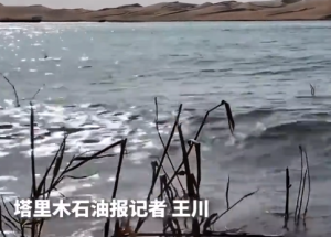 塔克拉玛干沙漠边缘出现湖泊