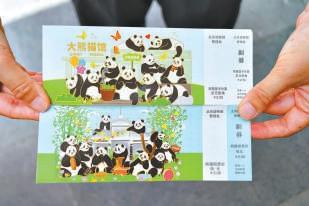 北动熊猫新馆正式开放
