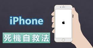 苹果手机死机了如何解决