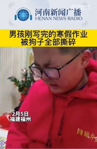男孩通宵赶完的作业被狗子全部撕碎