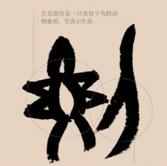刘伟鹏：最初对姓氏的确定，有一些与争斗有关