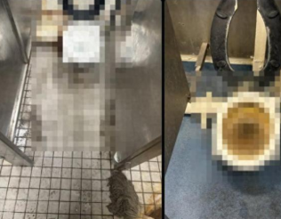 华盛顿号航母厕所也堵了