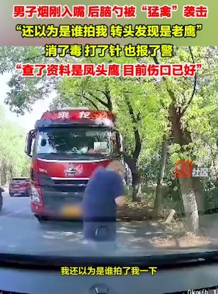 男子路邊抽煙后腦勺被老鷹襲擊：頭劇痛,，已打針,，并報(bào)警