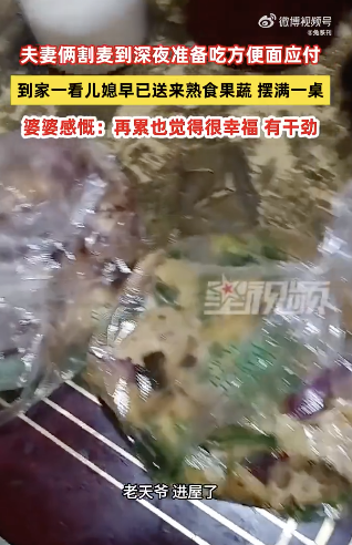 夫妻俩割麦到深夜儿媳送熟食果蔬 温情暖意治愈人心