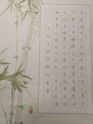 沣西实验学校-杨嘉懿               