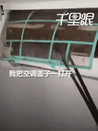 男子洗空调发现内部十几只蝙蝠 清洗惊现意外访客