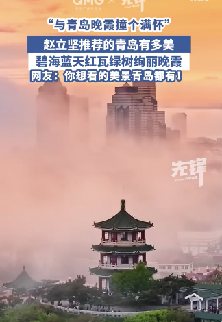 赵立坚推荐的青岛有多美