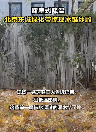 北京东城绿化带惊现冰锥冰雕!