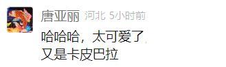 不想上班 3只卡皮巴拉“越獄”了 霸總帶頭逃跑