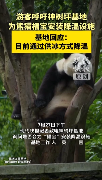 访客呼吁为Fubao安装冷却设施，粉丝关心逃避熊猫