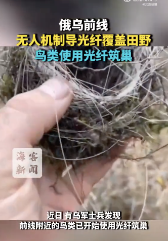 俄乌前线现光纤鸟巢