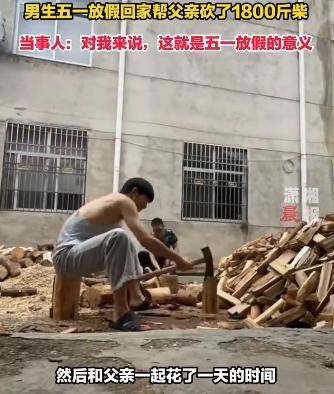 男生五一放假帮父亲砍了1800斤柴 给予家庭实质的帮助