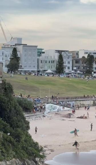 澳槍擊案現(xiàn)場畫面：槍聲大作民眾奔逃 10死11傷震動全城