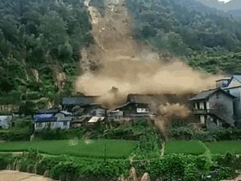 遇到“马刀树”“醉汉林” 快跑 警惕山体滑坡风险