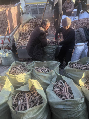 药材批发生意 药材批发生意