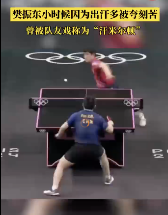樊振东曾被戏称为汗米尔顿 乒乓天才的励志征程