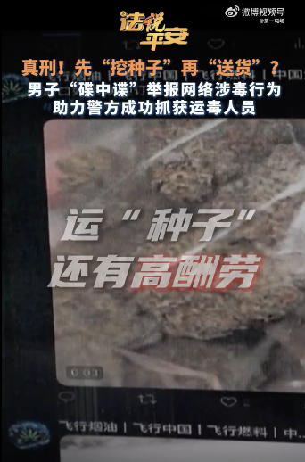 男子舉報網(wǎng)絡(luò)涉毒上演現(xiàn)實版碟中諜