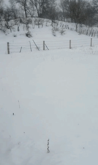 内蒙古通辽连发3次暴雪红色预警 多地降雪量破极值