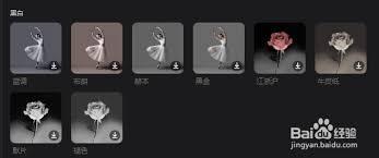 剪映专业版怎样设置黑白滤镜