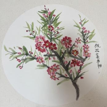 沣东新城阳光城小学-李书怡