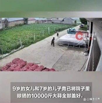 姐姐帶弟弟暴雨搶蓋1萬斤大蒜 稚嫩肩膀扛起責(zé)任