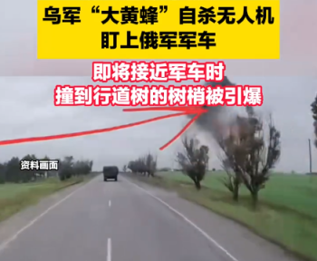 实拍：乌军自杀无人机命中前被树梢引爆