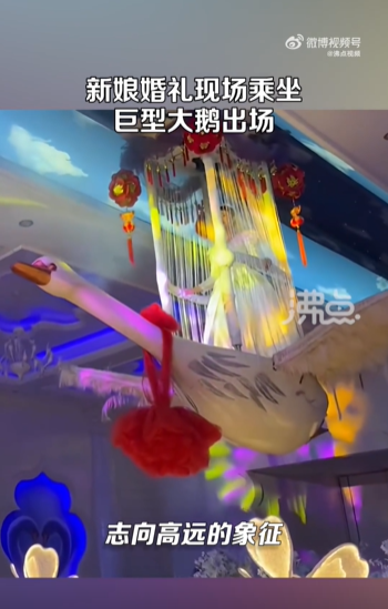 新娘婚礼现场乘坐巨型大鹅出场