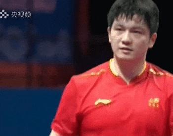 张本智和再次模仿樊振东庆祝动作 表达对偶像的憧憬