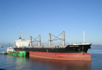 中国货船安全通过霍尔木兹海峡，伊朗：仅针对美以欧及其支持方 船只标注身份避险