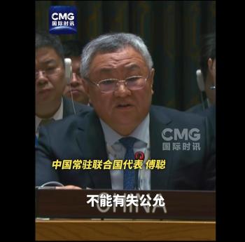 傅聪：安理会不能成为个别国家的工具 反对政治操弄