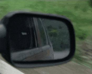 浙江宣传谈张雪的飞驰人生 从修车学徒到冠军缔造者