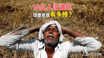 印度有多缺油 食用油危机凸显