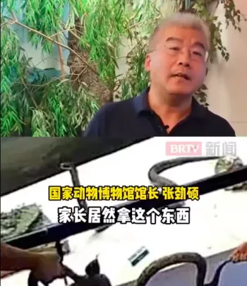 警方介入调查"标本遭游客损坏"事件 珍贵标本受损引关注