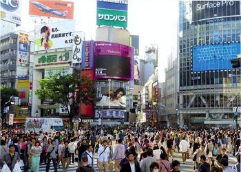 日本梅毒 买不到青霉素 公共卫生危机加剧