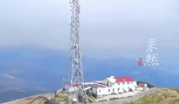 定居中国的埃文凯尔在青岛喝酒喂海鸥 体验青式“三件套”